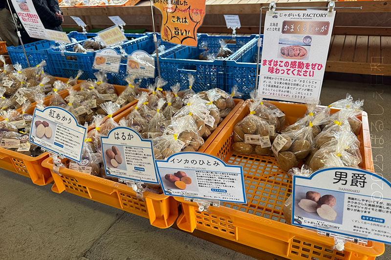 八紘学園 店内