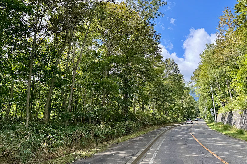 支笏湖までの道