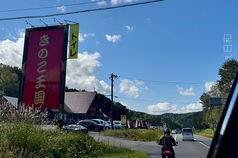 きのこ王国