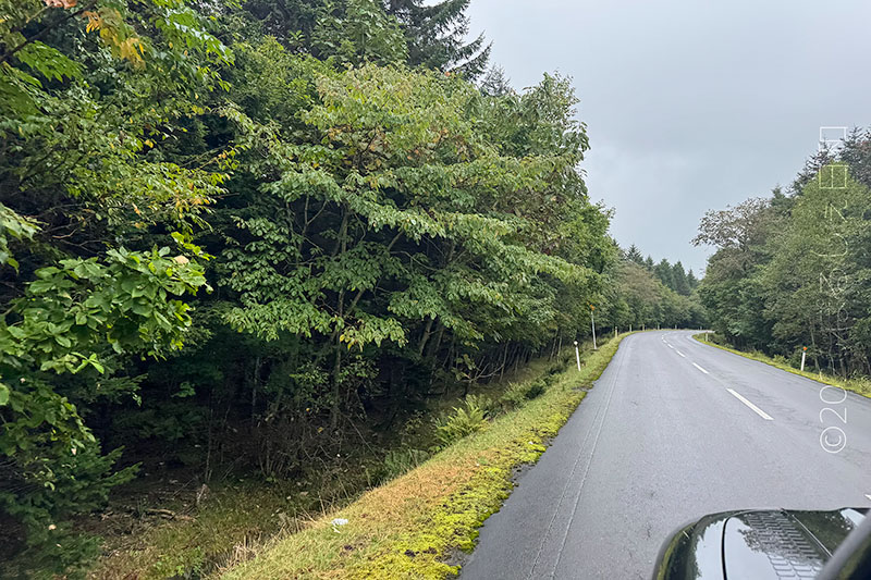 道道141号