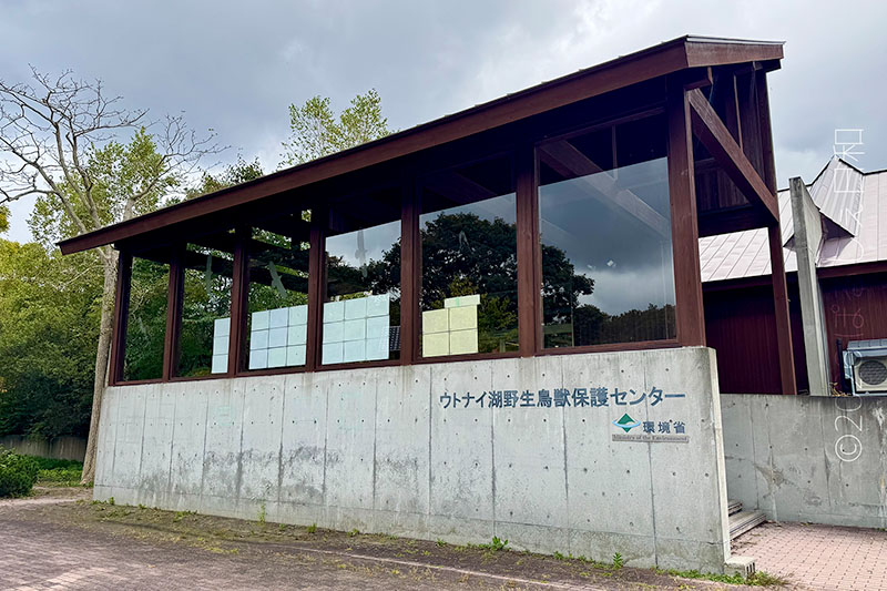 ウトナイ湖野生鳥獣保護センター